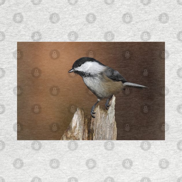 Chickadee by Jim Cumming